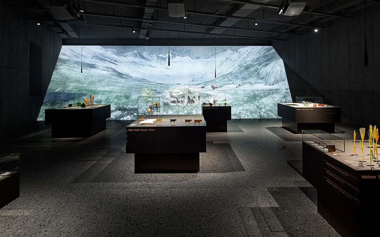 展廳搭建 ，展廳 ，鑫時空